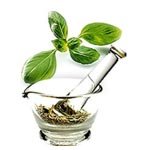 Herbal Extracts Exporters